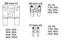 fbba1e15_60_2092082519.jpg_1.jpg