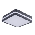38787.webp