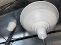 IMG_5699.jpeg