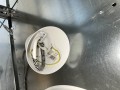 IMG_5701.jpeg
