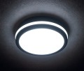 38790_6.jpg