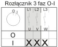 921613 rys.jpg