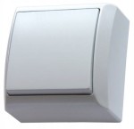 OSPEL BIS ŁN-1B/00 Łącznik 1-biegunowy biały