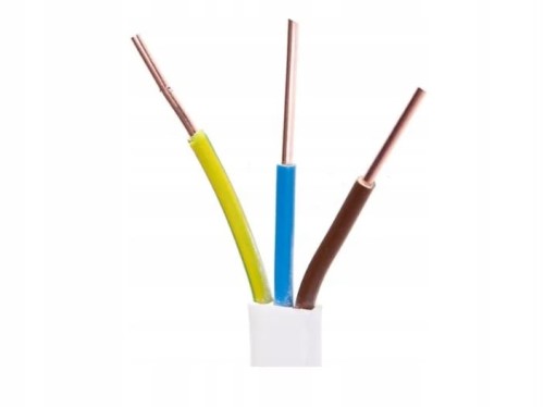 Przewod-Elektrokabel-YDYp-3x1-5-750V-Bialy-plaski.jpg