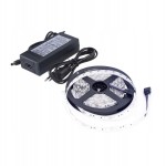 BEMKO D87-ZW-2835-300-IP20-ACW ZESTAW TAŚMA 24W