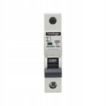 SCHELINGER A02-G7-1P-B25 WYŁĄCZNIK NADPRĄDOWY 1P B 25A