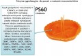 SIMET-Dekielek-puszki-PS60-60mm-10-szt-Kod-producenta-37083008.jpeg