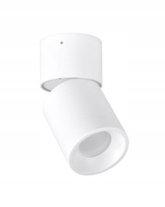 SANICO Oczko przegubowe NIXA GU10 biały 314239