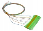 ELPIO 3742 Pigtail SC/APC SM 1m 12-kolorowy LSZH G.657A1, 0,9mm