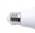 BEMKO-D84-SLB-E27-G45-075-4K-ZRODLO-LED-7-5-W-E27-Marka-Bemko.jpg